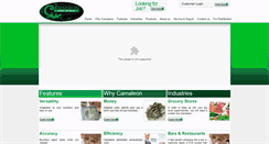 Desktop Screenshot of camaleonpos.com