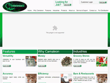 Tablet Screenshot of camaleonpos.com